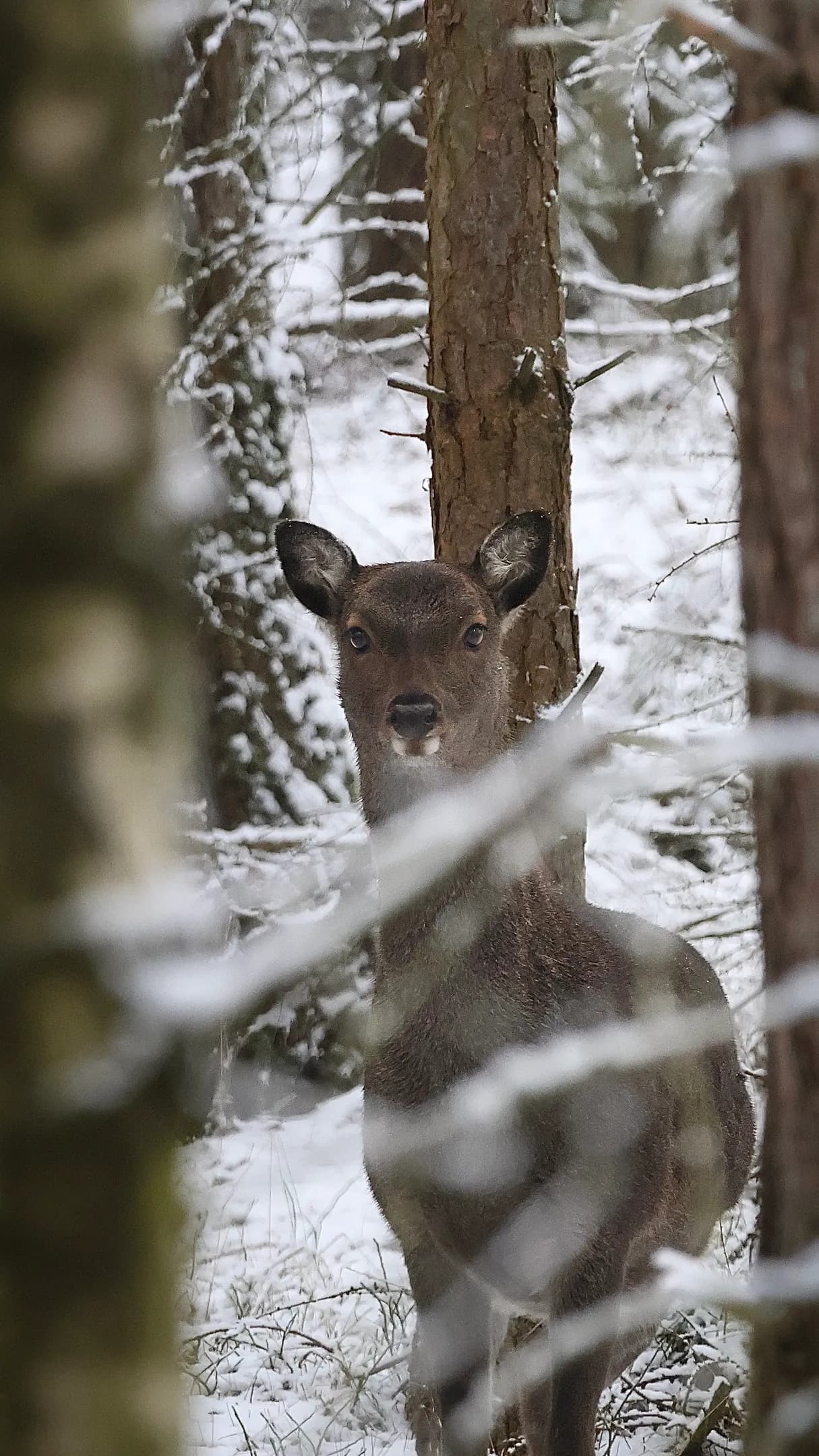 Work by Jakub Photography